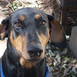 Meet your Posher, Rick